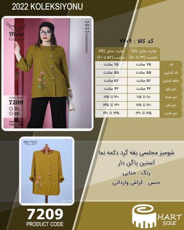 شومیز مجلسی یقه گرد دکمه نما آستین پاگن دار - Image 4