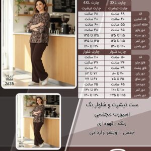 ست تیشرت و شلوار بگ اسپورت مجلسی سایز بزرگ